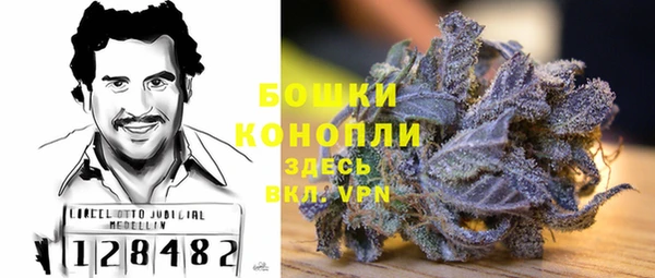 прущие крисы Вязьма