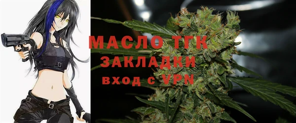 амф Вяземский