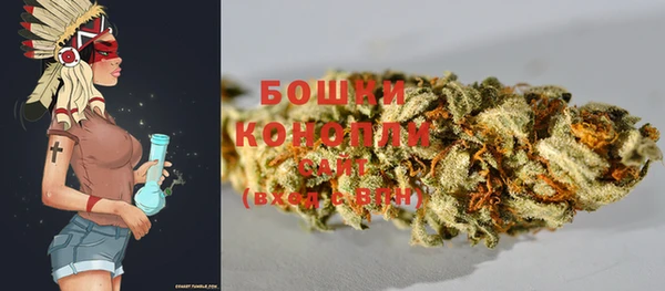 прущие крисы Вязьма